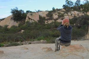 Waiting out a free flying macaw, highlighting patience and observation in training