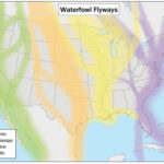 Waterfowlflywaysmap
