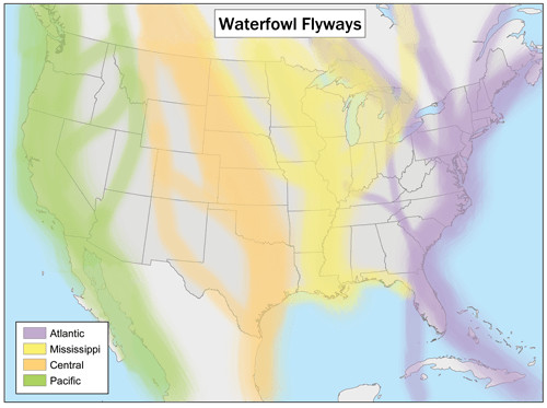 Waterfowlflywaysmap