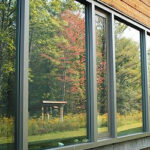 Reflection of foliage in window - hazard to birds By Susan Spear