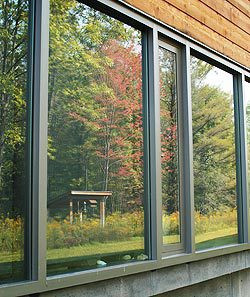 reflection of foliage in window - hazard to birds By Susan Spear