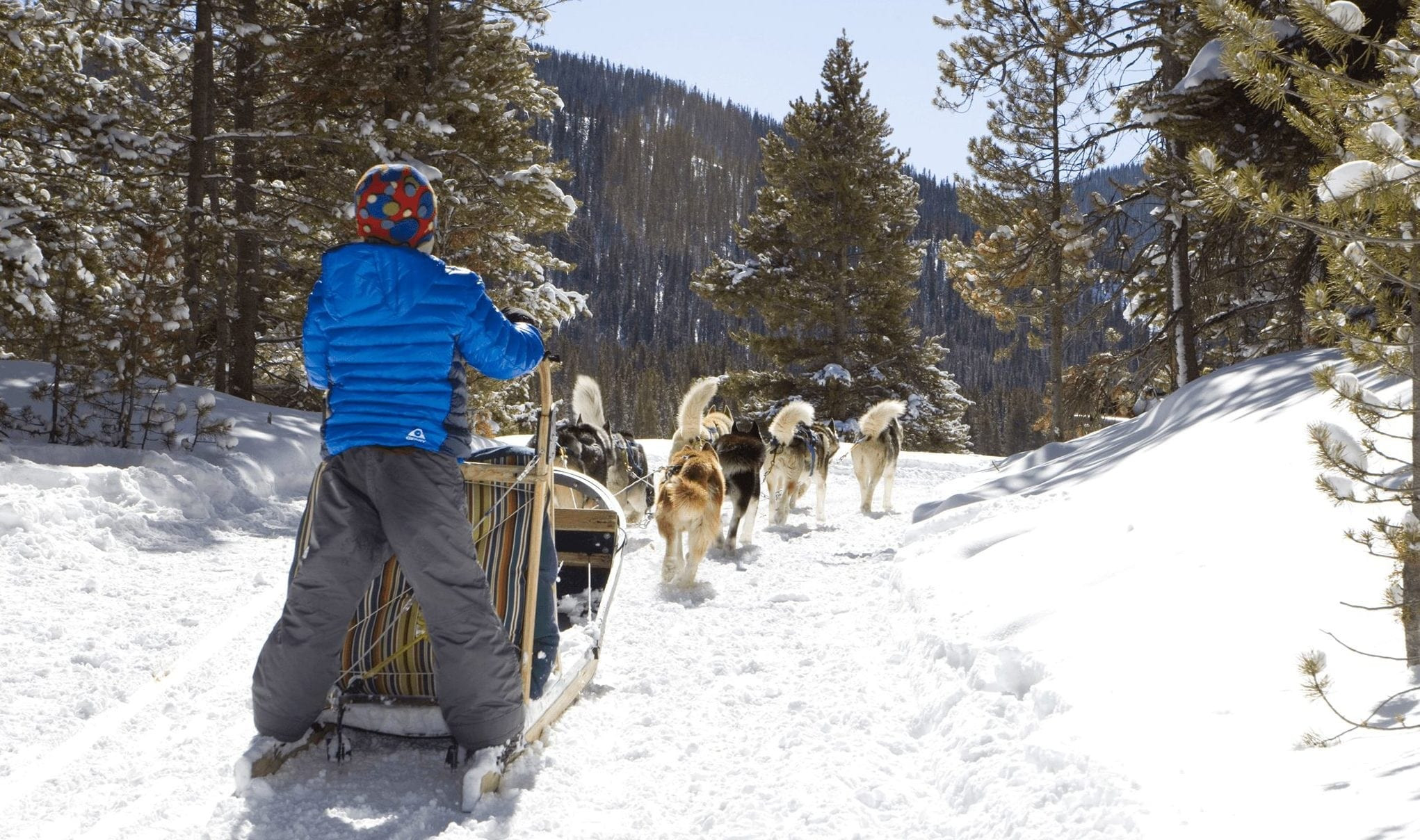 A snowboarder gliding through fresh powder on a sunny day in Breckenridge, showcasing the excitement and adventure of winter sports in the Colorado mountains.
