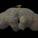 A colorful web of lines tracing out the complete set of neurons and their connections in a fruit fly brain