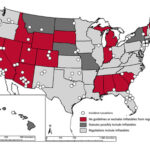 Bounce house accidents often occur in states with minimal regulations, emphasizing the need for stringent safety measures.