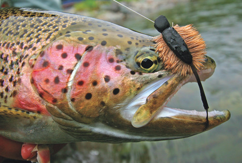 Morrish Mouse being used for fishing