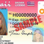 Sample REAL ID Over 21