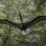 Model of Pterodactyl flying through a forest